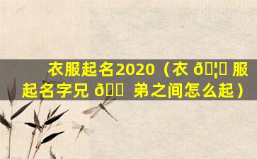 衣服起名2020（衣 🦋 服起名字兄 🐠 弟之间怎么起）